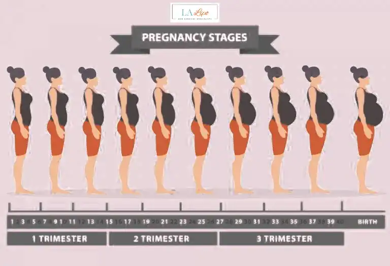 First Trimester (Weeks 1–12): Early Changes You Might Not Notice Wembley Park
